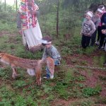 phoca_thumb_m_vp - tet den 109 Fotogalerie